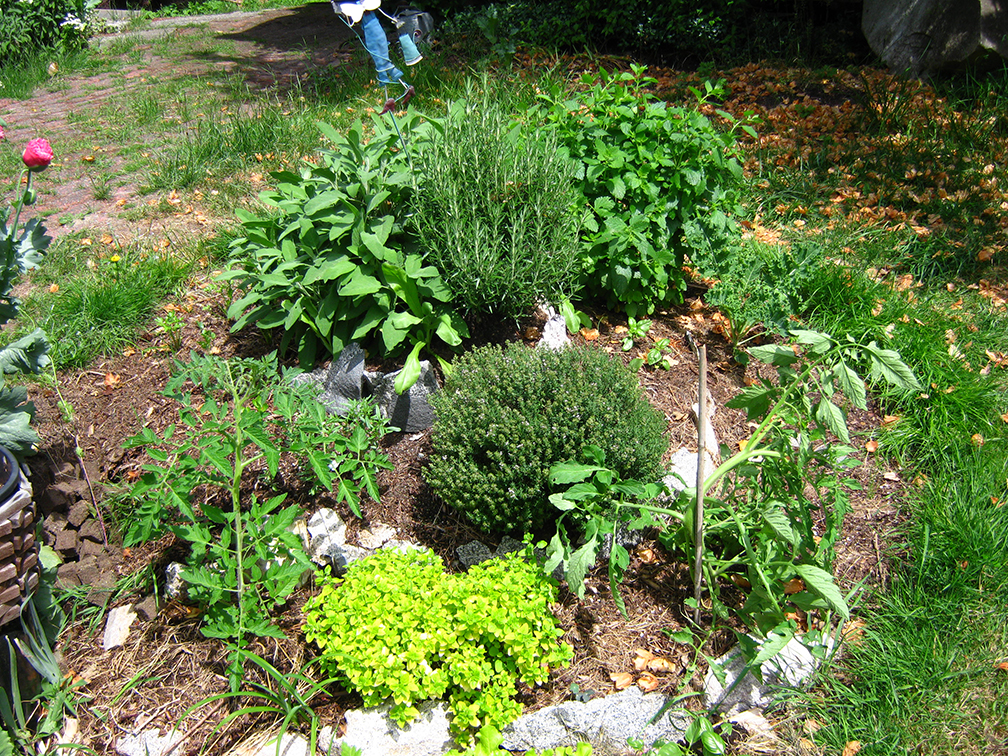 how to build a small garden