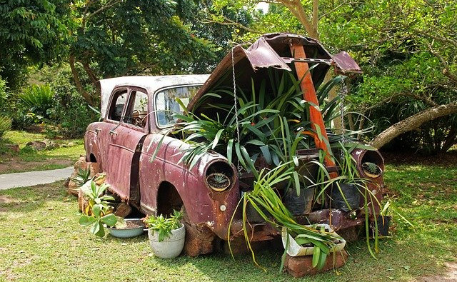 old car used as a planter