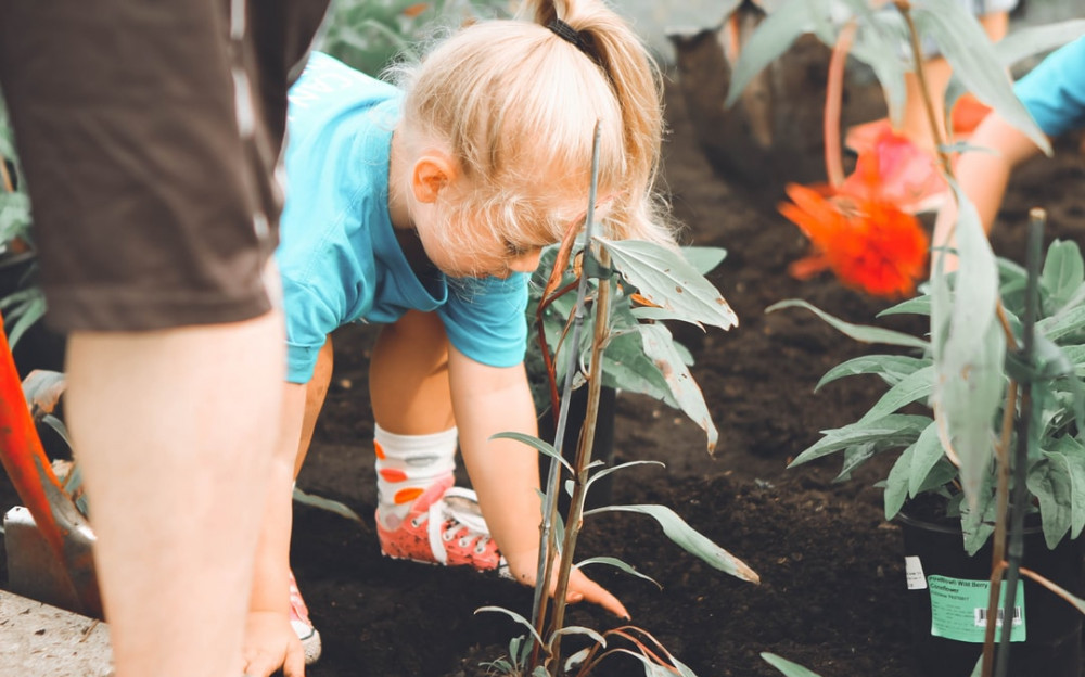 kids in the garden