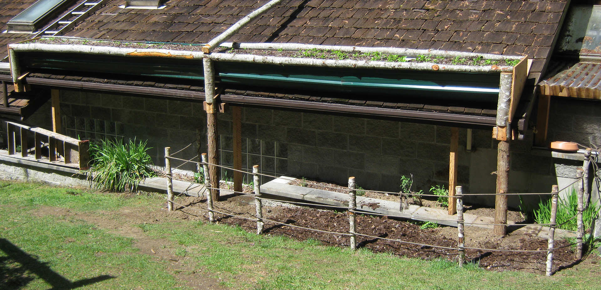 tomato planter on the roof, potato patch below