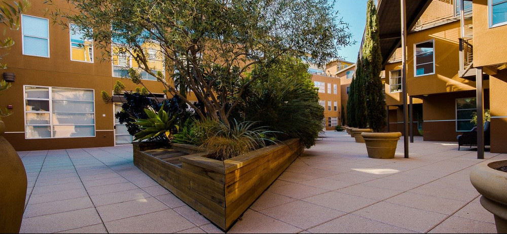 courtyard planter