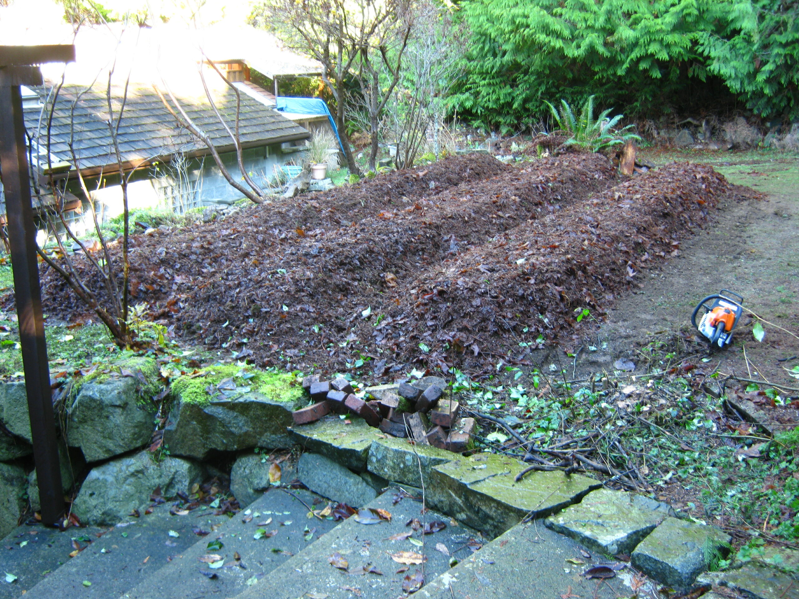 permaculture vegetable garden mulch