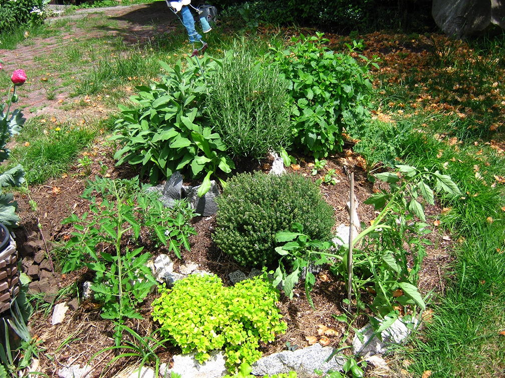 permaculture herb spiral
