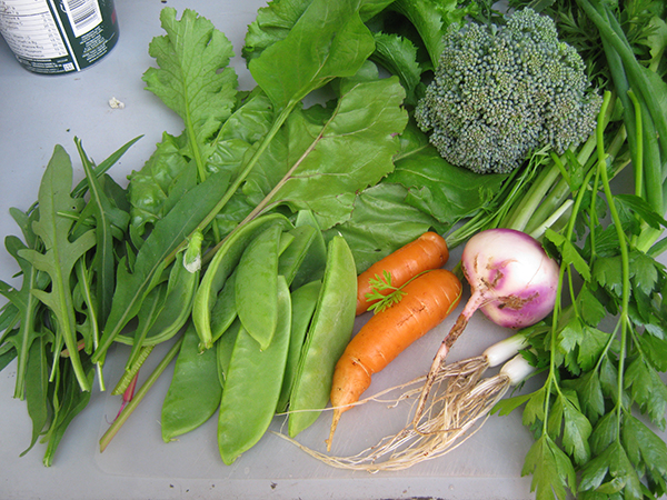 permaculture vegetable garden