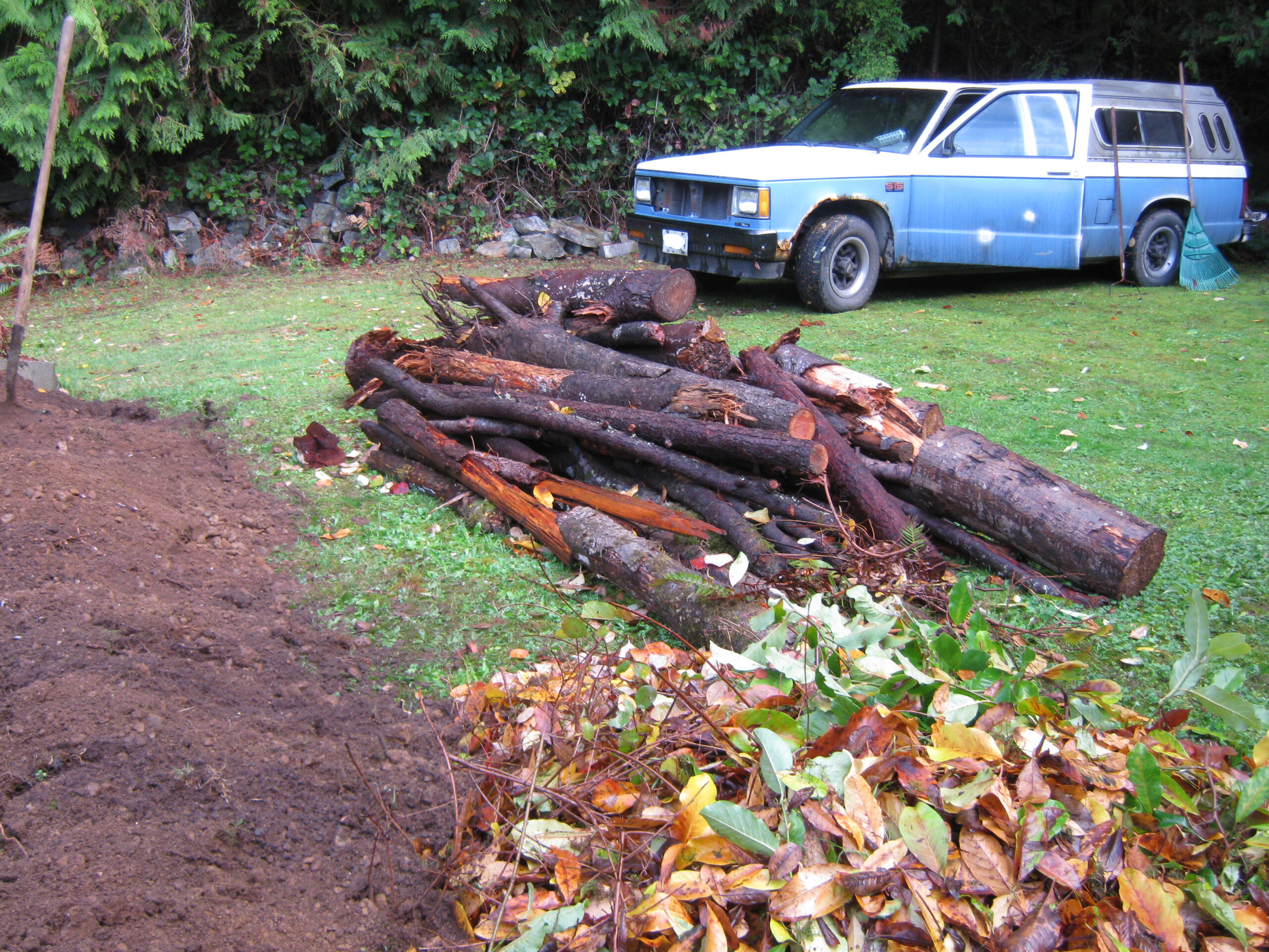 Permaculture vegetable garden