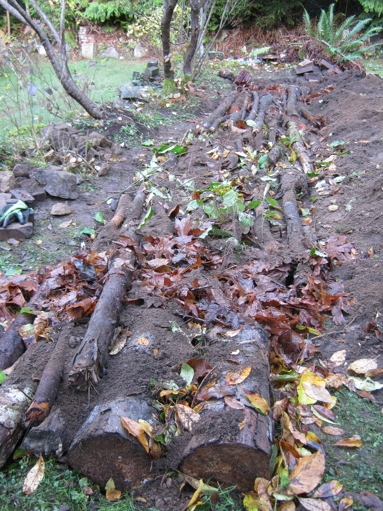 permaculture vegetable garden