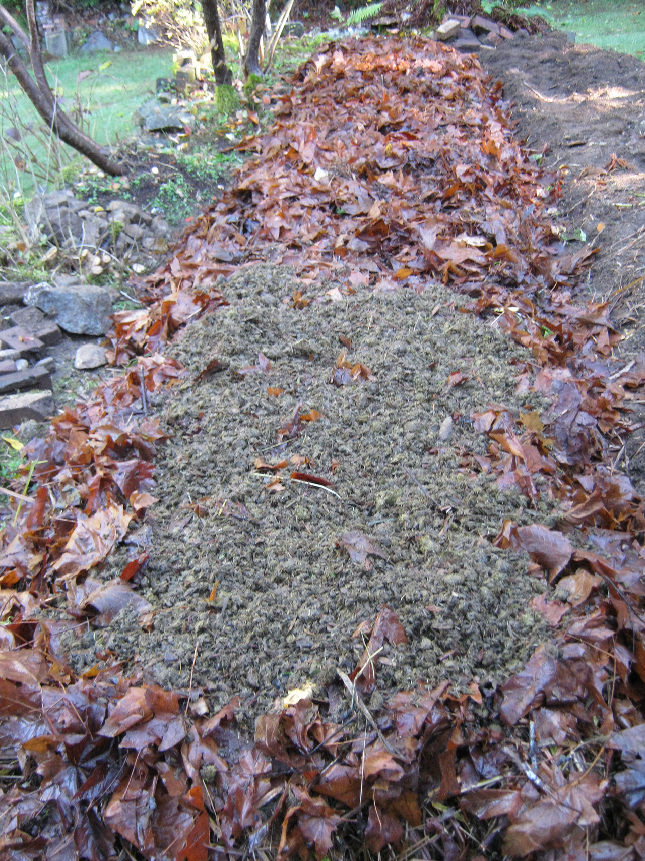 permaculture garden