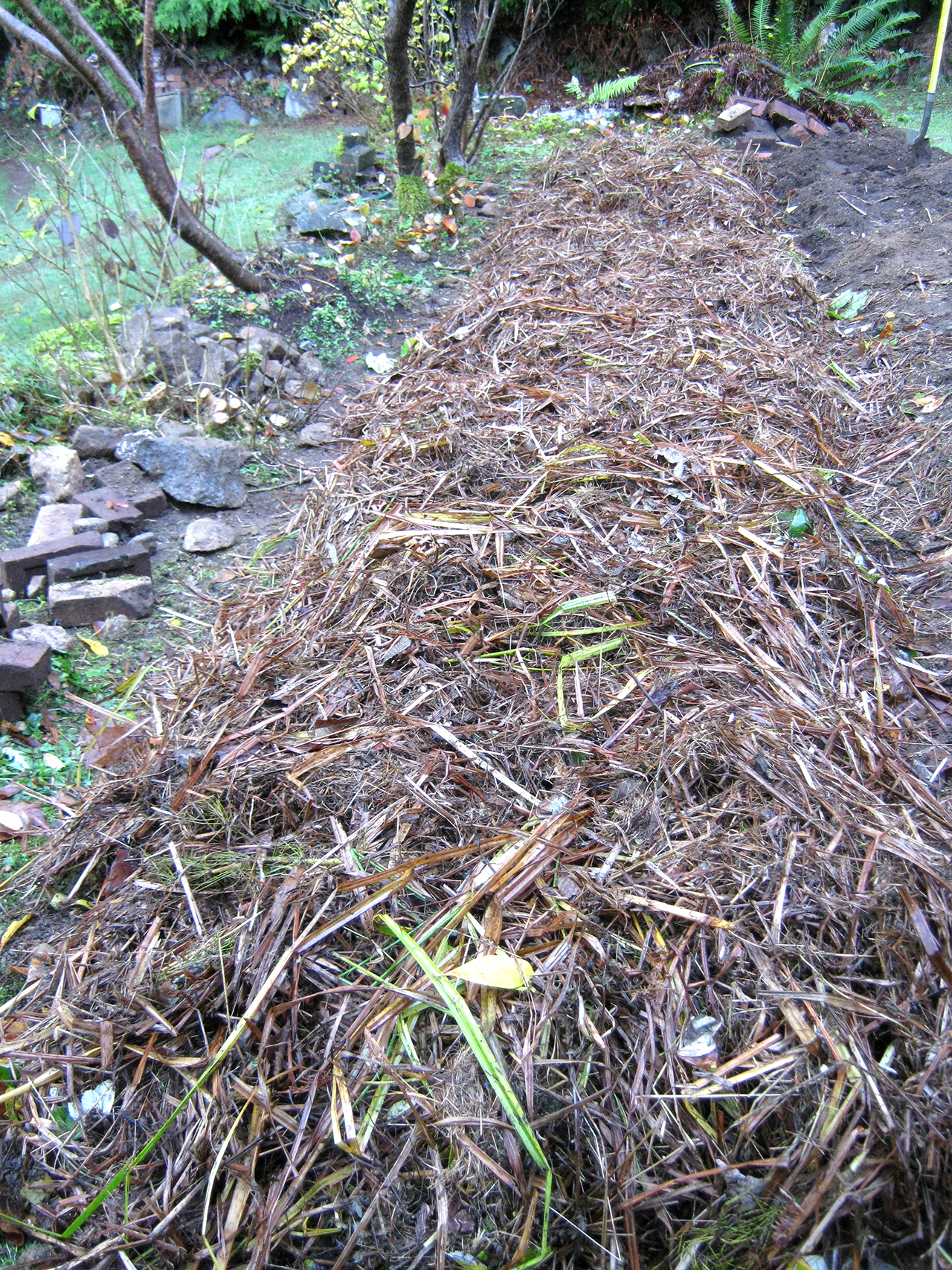 permaculture garden