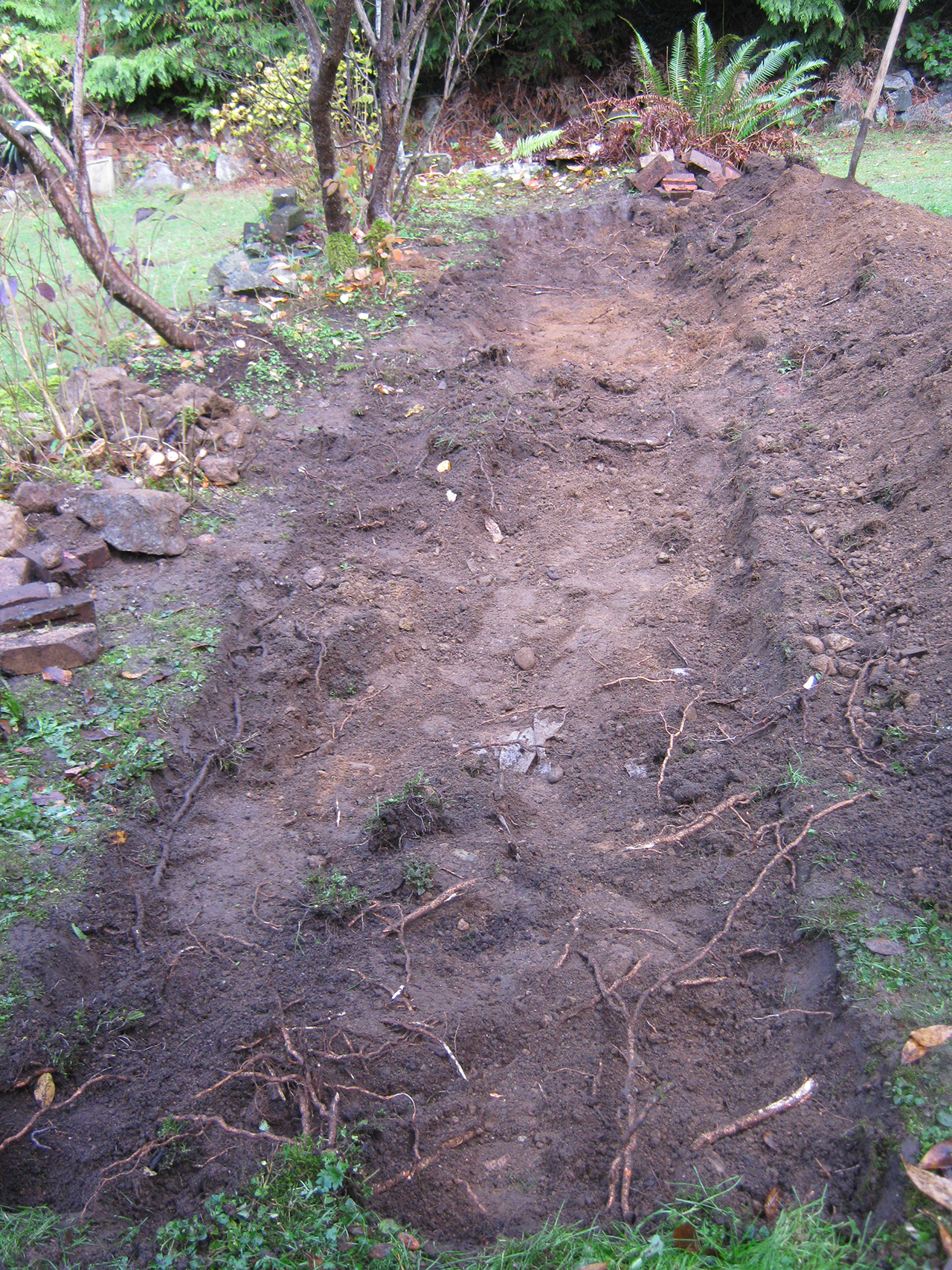 permaculture garden