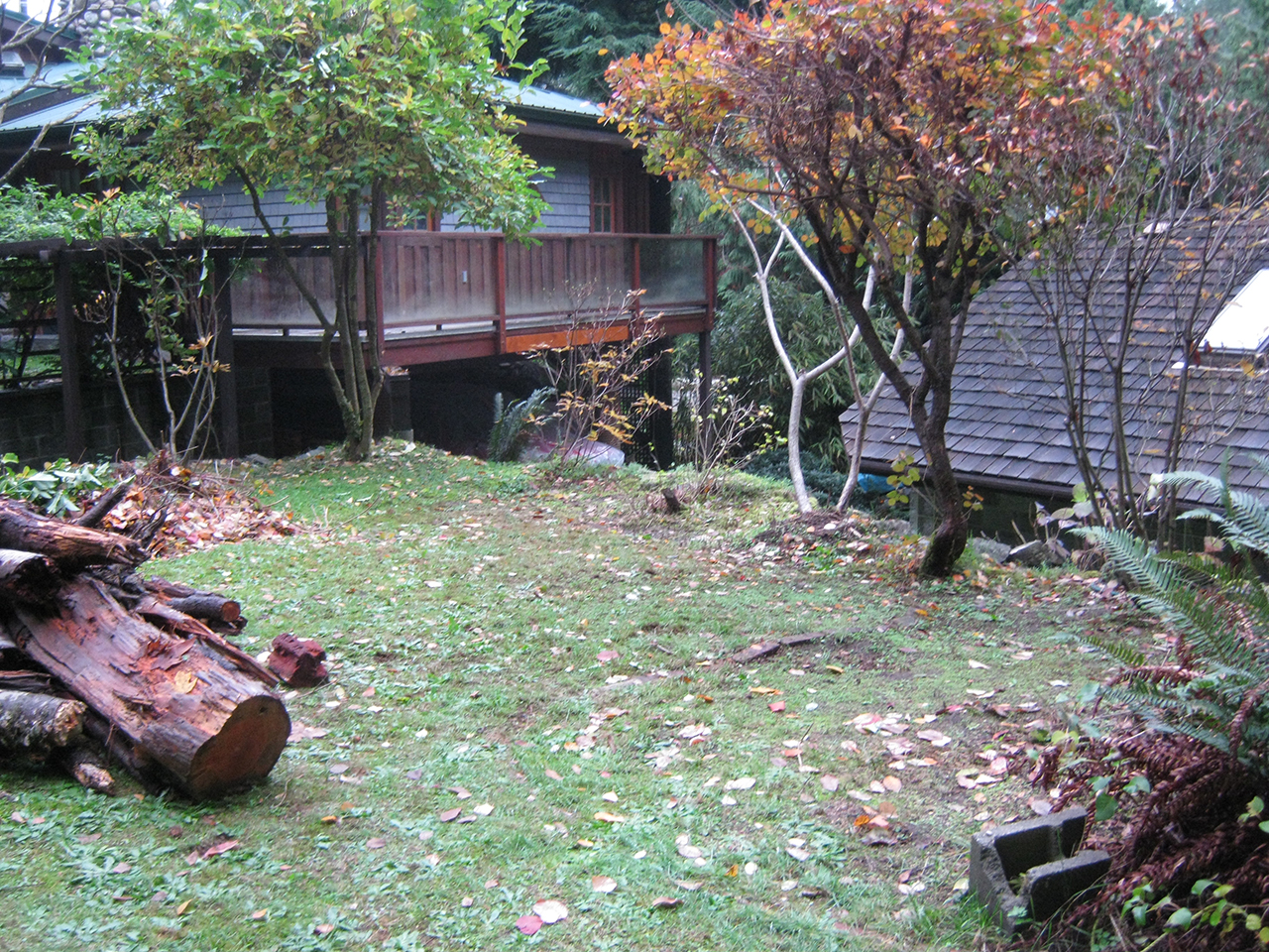 permaculture garden