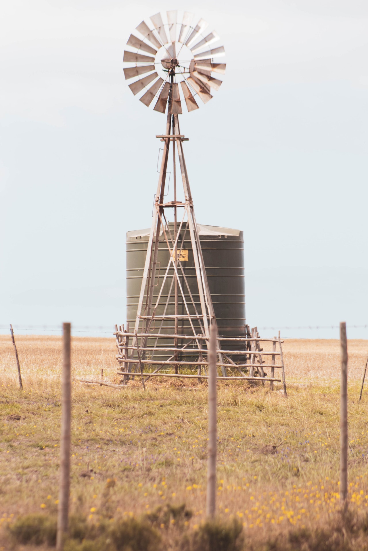 windmill