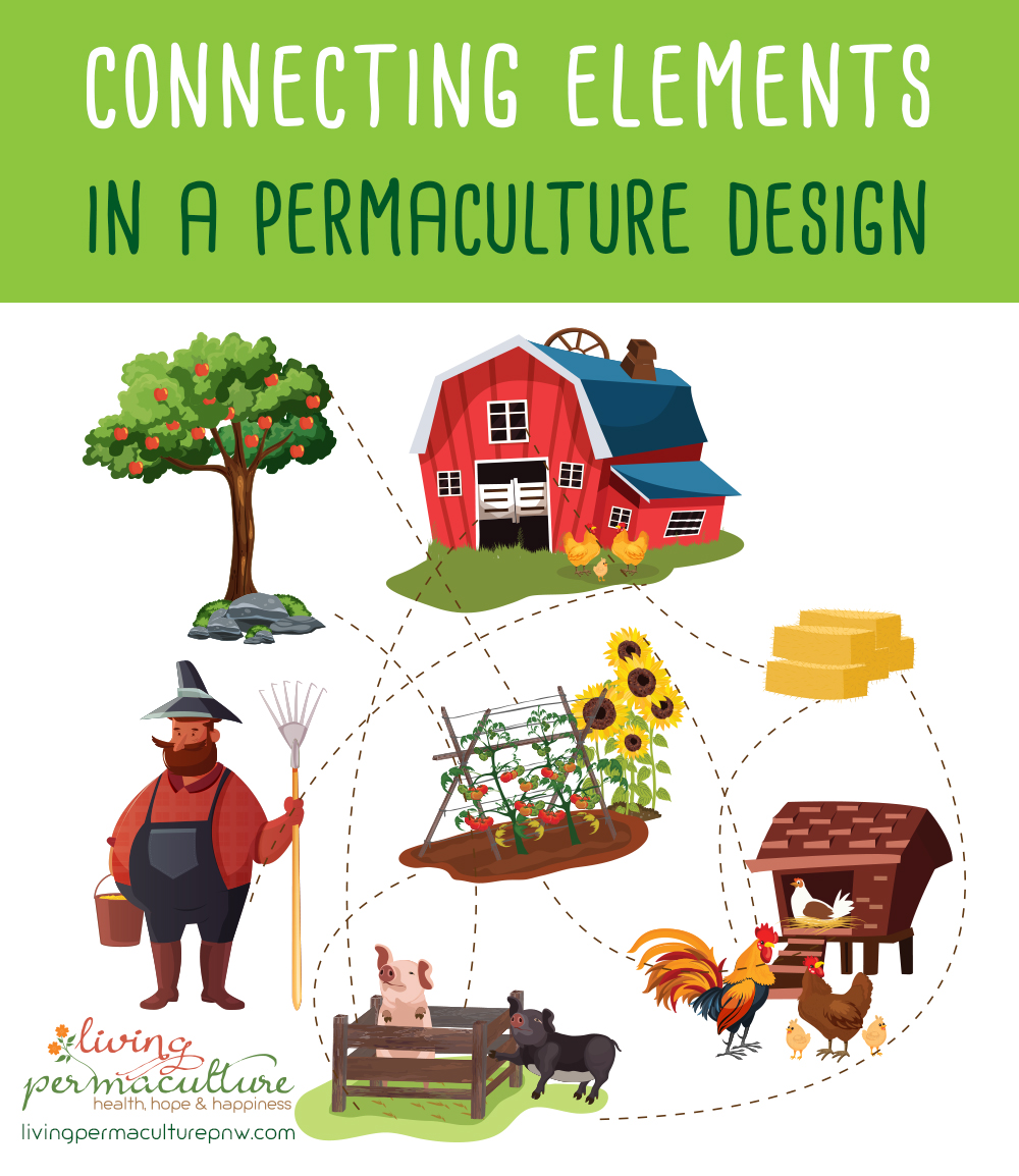making connections in a permaculture design
