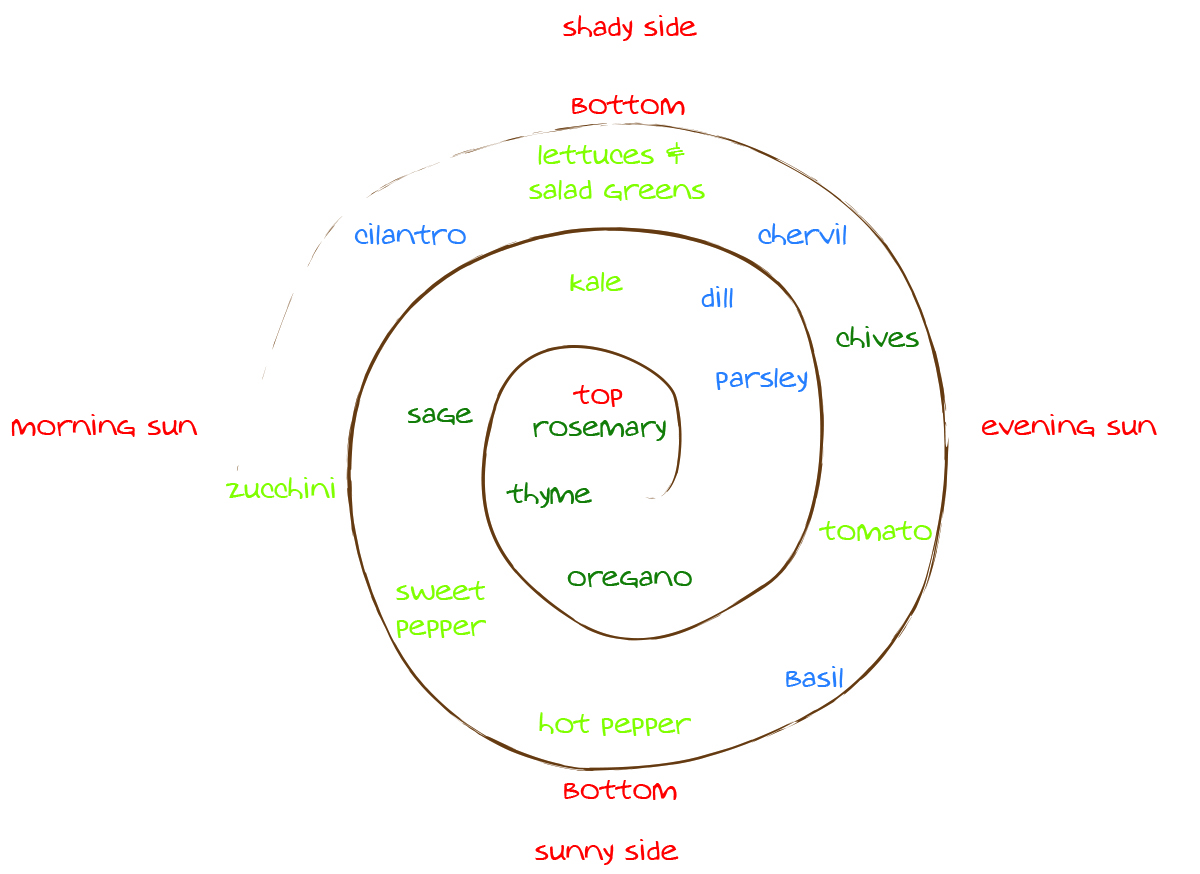 herb spiral planting plan