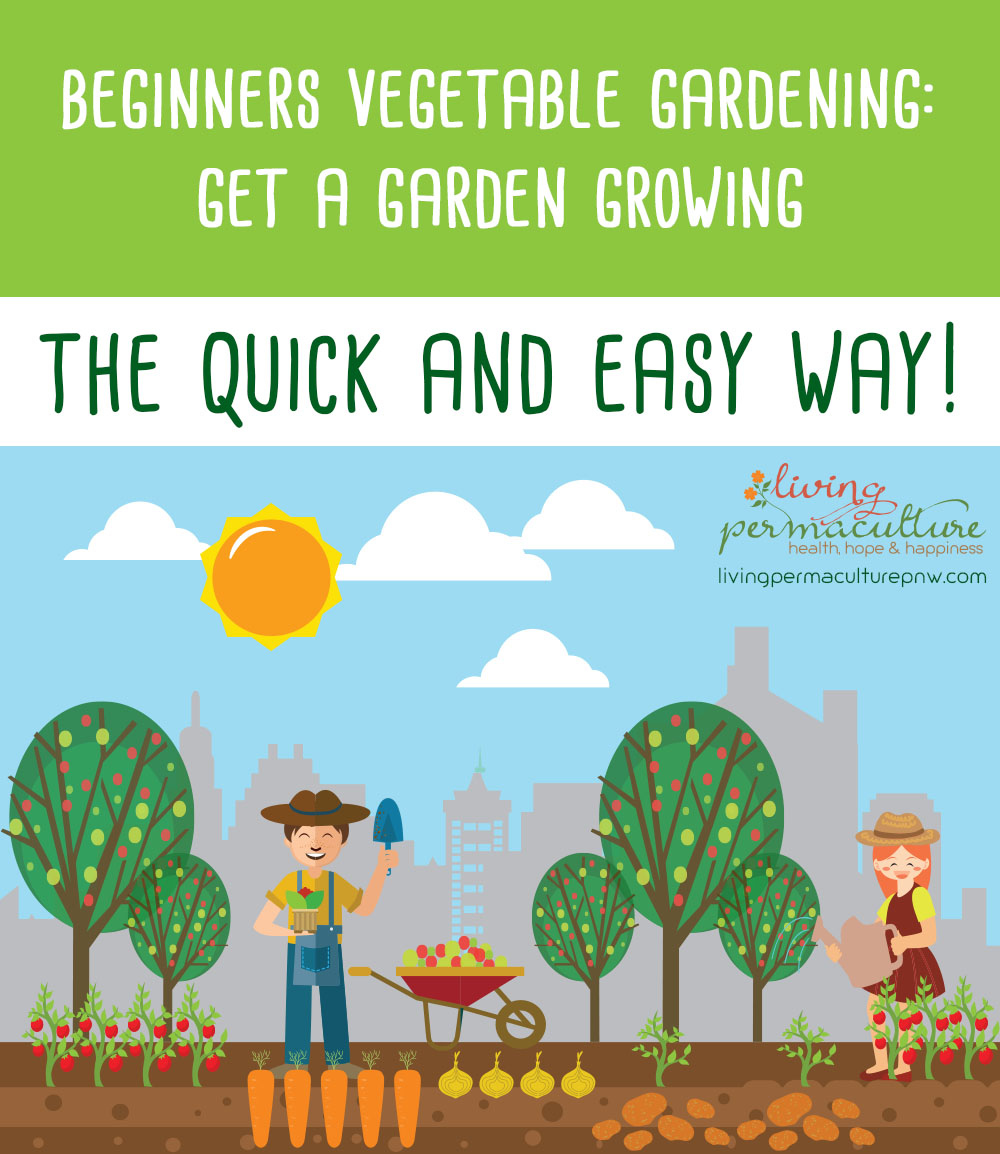 how to start a vegetable garden for beginners