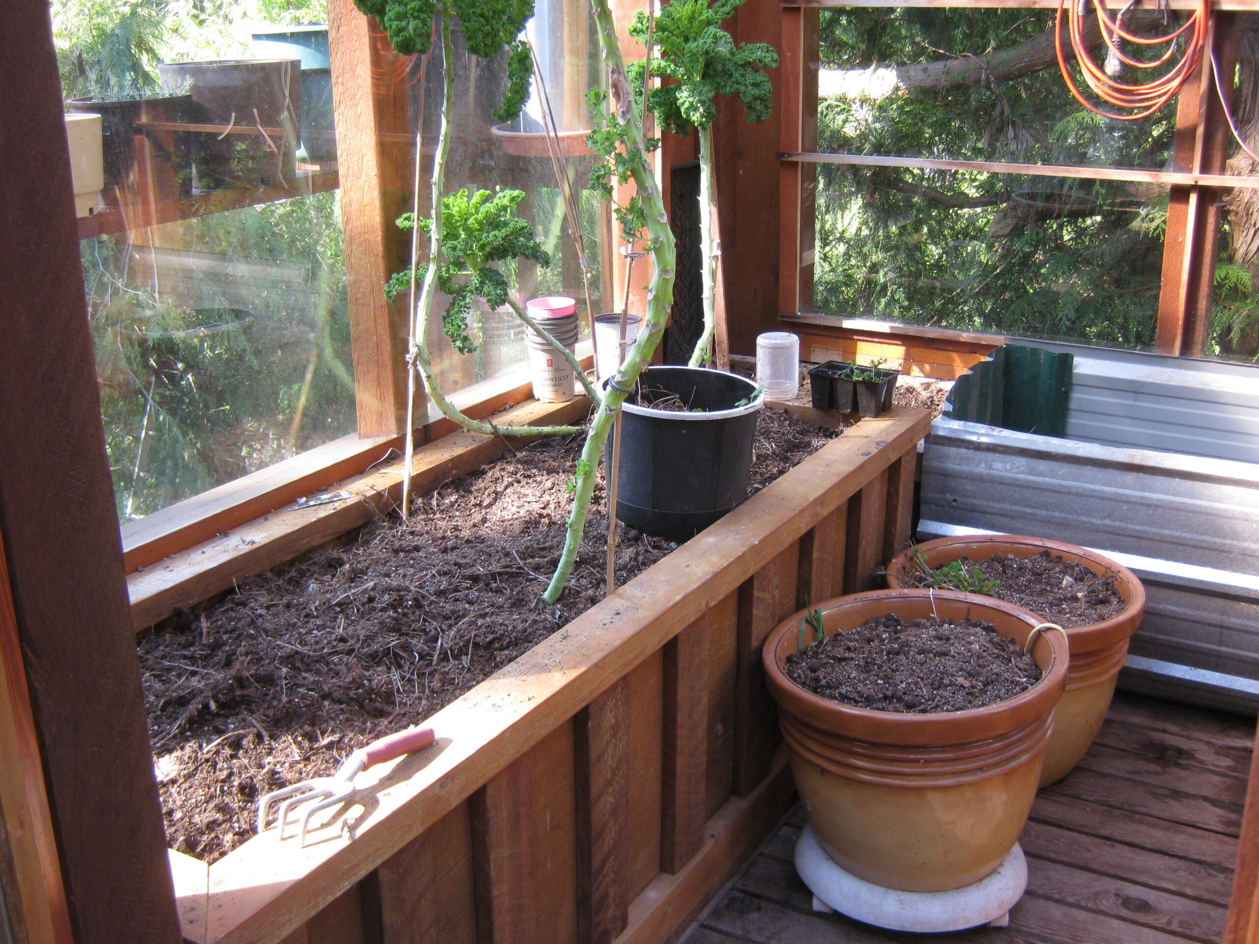 planters in the greenhouse