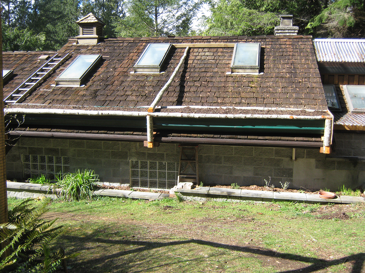 roof top planter