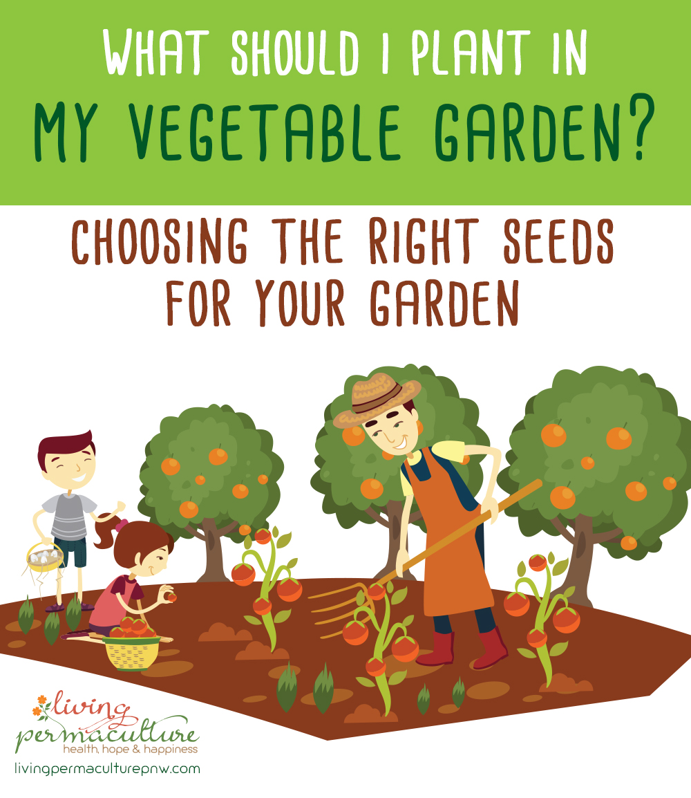 what should i plant in my vegetable garden