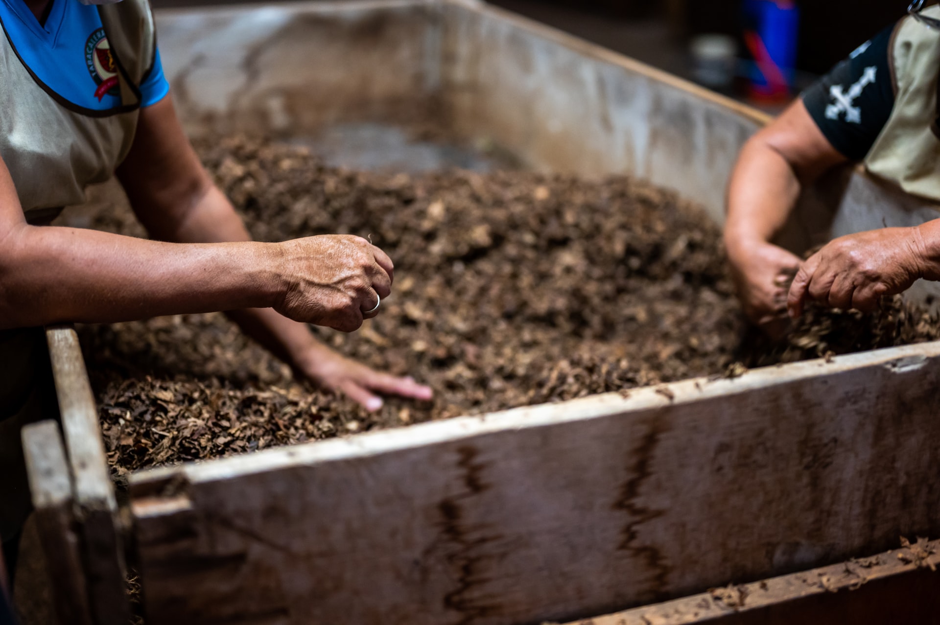 compost