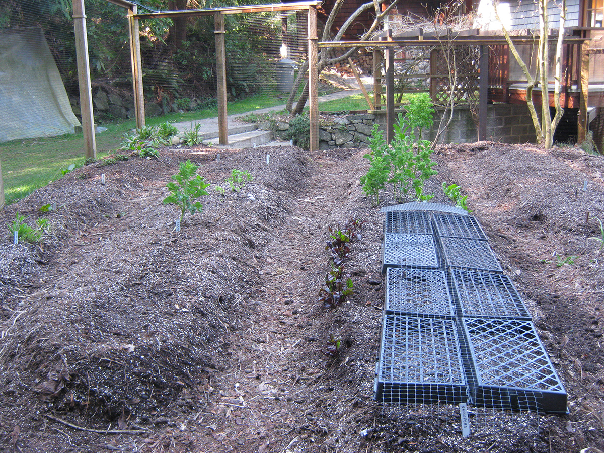 Planting the garden