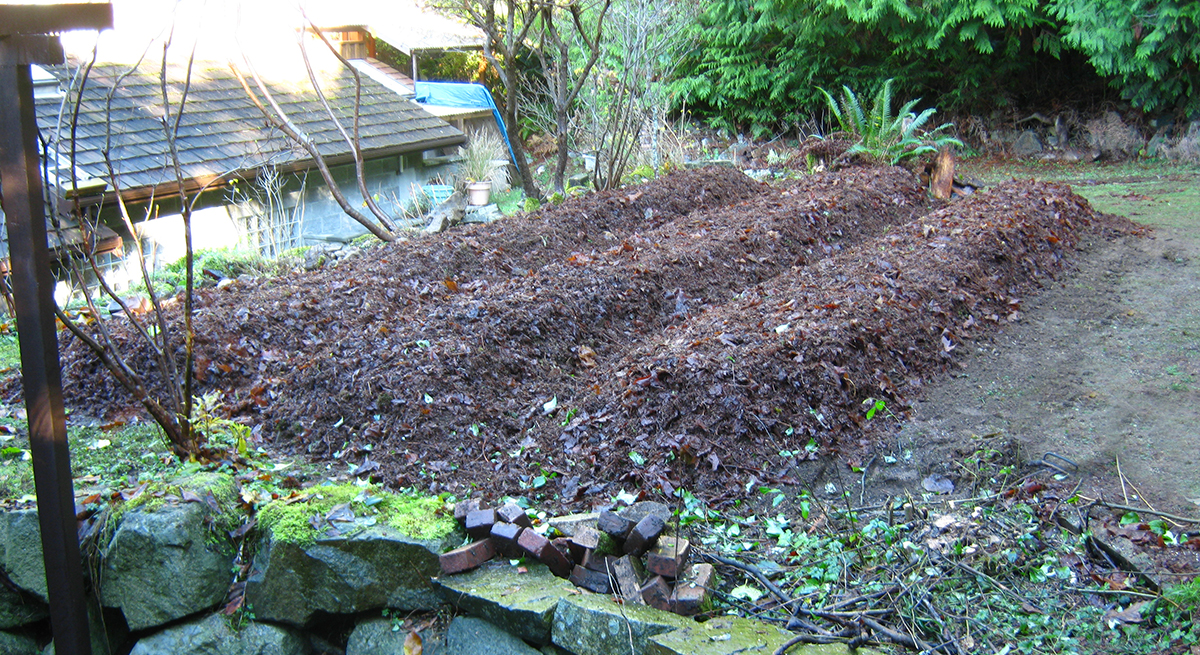 raised garden beds